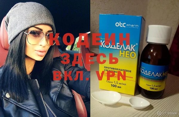 индика Балахна