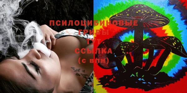 трава Армянск