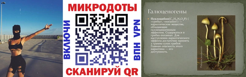 Галлюциногенные грибы мухоморы Петухово